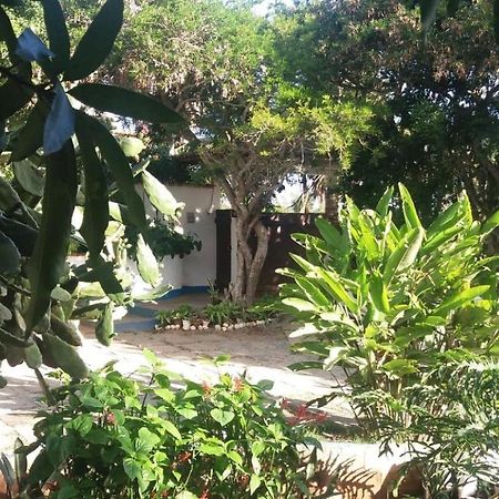 Geriba House Buzios Ξενοδοχείο Εξωτερικό φωτογραφία